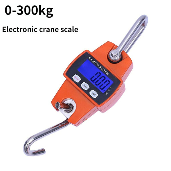 Crane scale 300kg