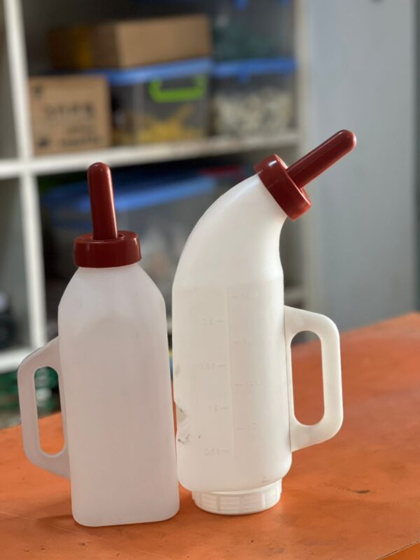 Cattle Milk Bottle 2L