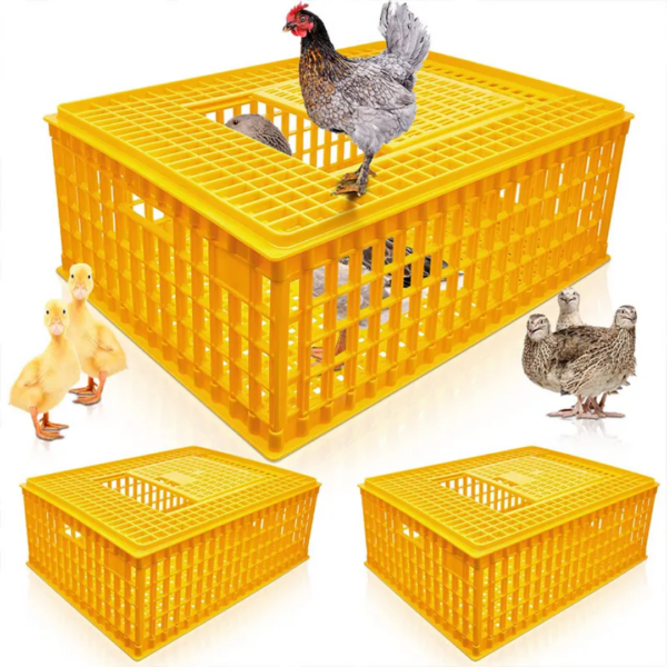 Chicken transport basket carrier cage